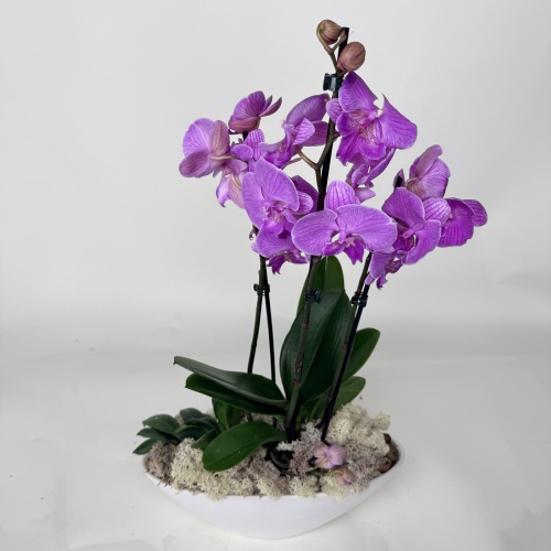 Букет №773890