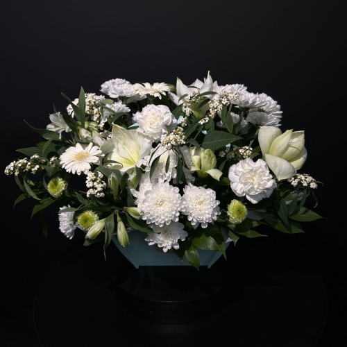 Композиция №815195