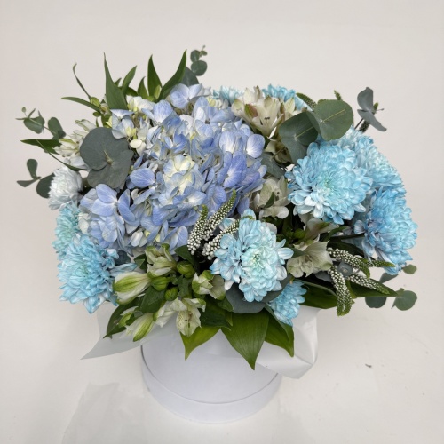 Композиция №980336