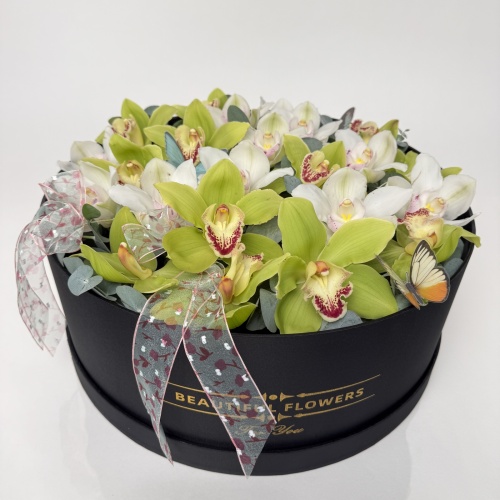 Композиция №829529