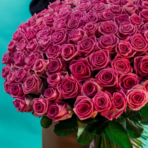 75 розовых роз (Россия)