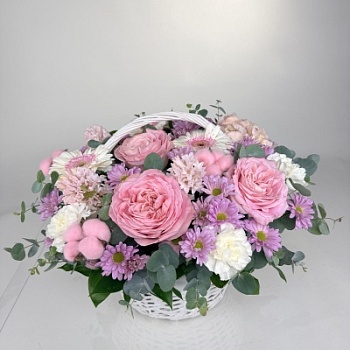 FullSizeRender - 2026-04-18T124149.580