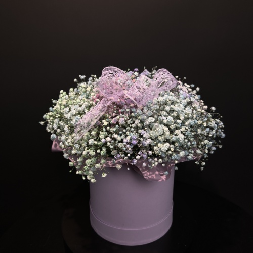 Композиция №972577