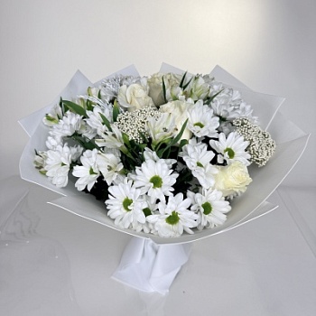 FullSizeRender (113)