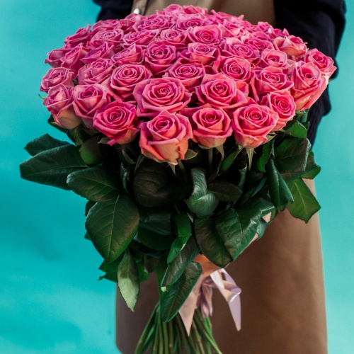 51 розовая роза (Россия)