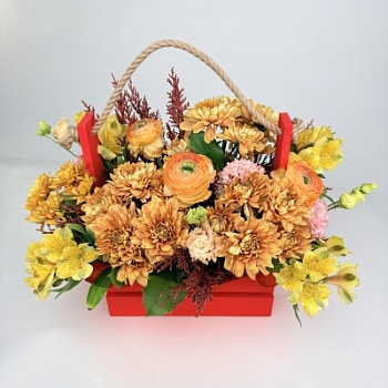 FullSizeRender (120)