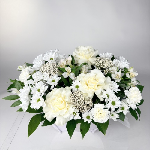 Композиция №746320