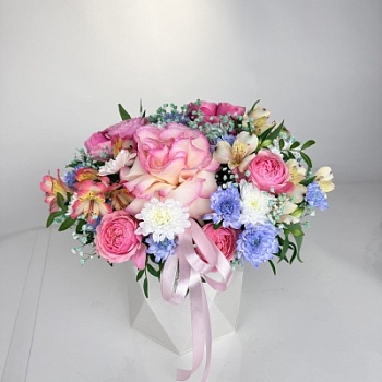 FullSizeRender - 2026-04-14T145428.396