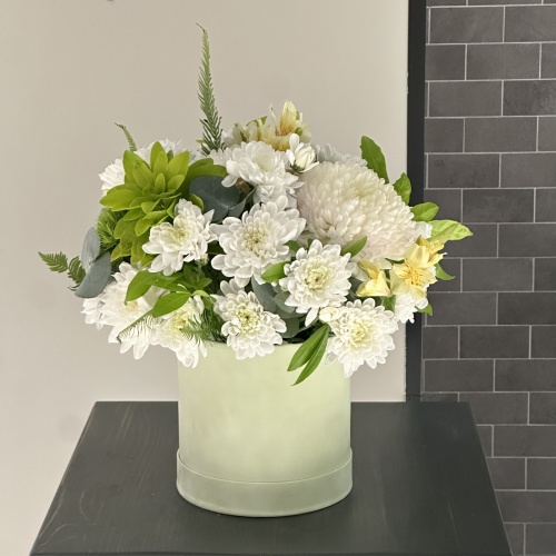 Композиция №955655