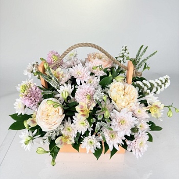 FullSizeRender (302)