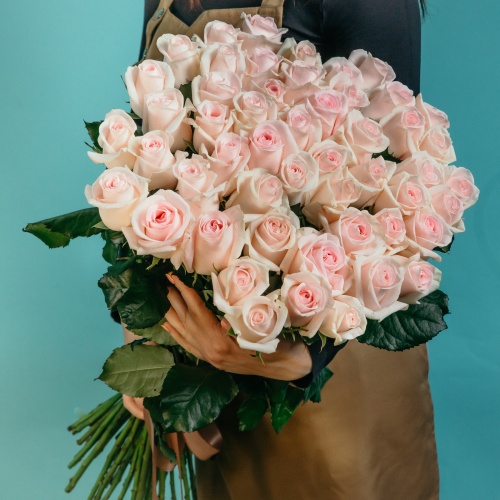 51 нежно-розовая роза (Россия)