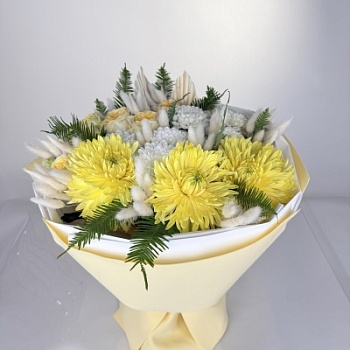 FullSizeRender - 2026-04-14T211145.914