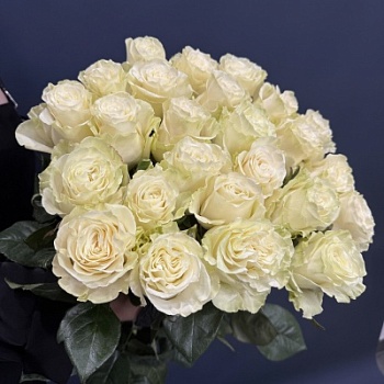 FullSizeRender (5) FullSizeRender (5)