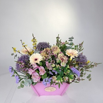 FullSizeRender (247)