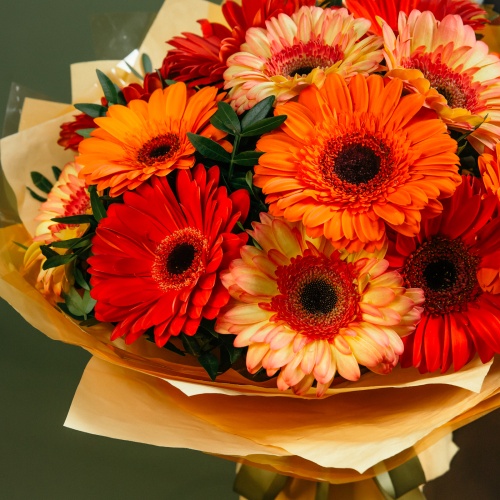 Букет из разноцветных гербер