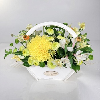 FullSizeRender (137)