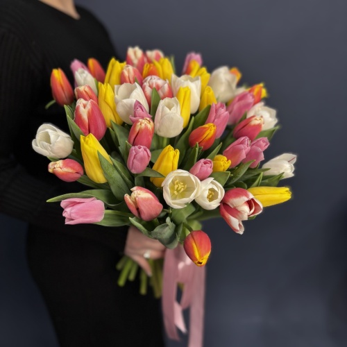 Букет из разноцветных тюльпанов (51 шт.)