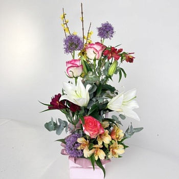 FullSizeRender - 2026-04-20T104830.442