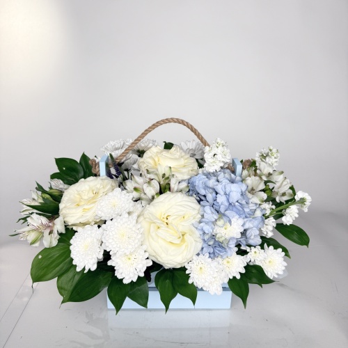 Композиция №979354