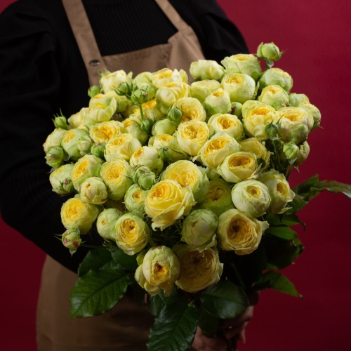 Роза кустовая желтая 70 см (Россия)