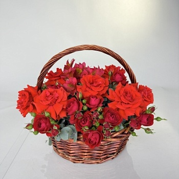 FullSizeRender (319)