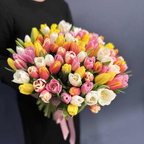 Букет из разноцветных тюльпанов (101 шт.)