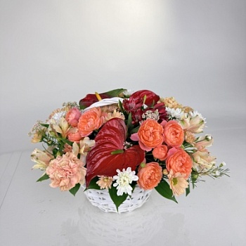 FullSizeRender (369)