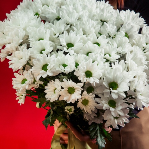 Букет из белых хризантем "Ромашка" (9 шт.)
