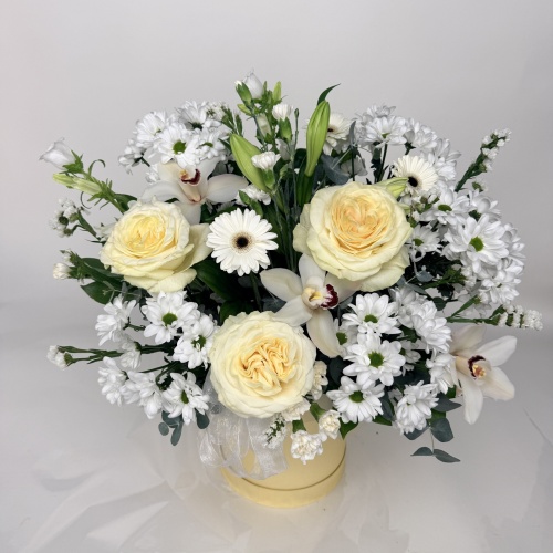 Композиция №781032