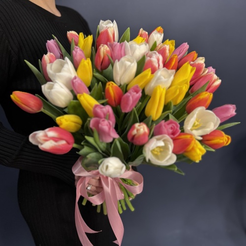 Букет из разноцветных тюльпанов (51 шт.)