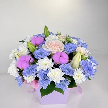 FullSizeRender - 2026-04-14T195557.960