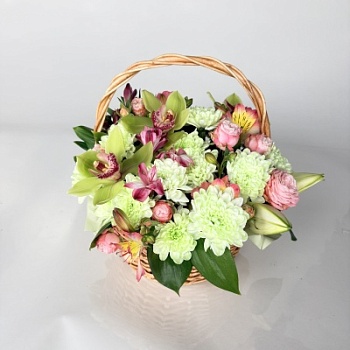 FullSizeRender (176)