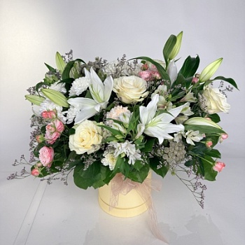 FullSizeRender - 2026-04-12T140948.963