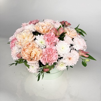 FullSizeRender - 2026-04-20T130443.995