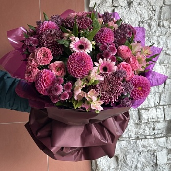 IMG_8729