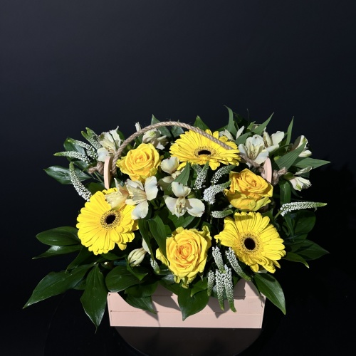 Композиция №979736