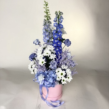 FullSizeRender (255)