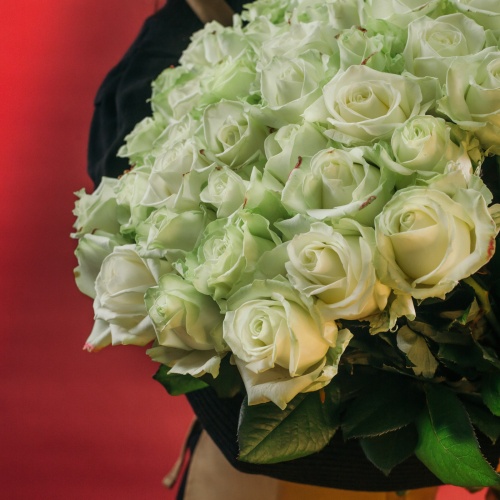 25 белых роз (Россия) 25 белых роз (Россия)