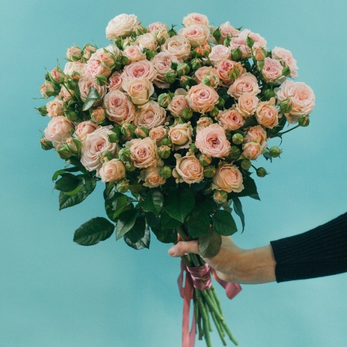 11 кустовых пионовидных нежно-розовых роз (Россия)