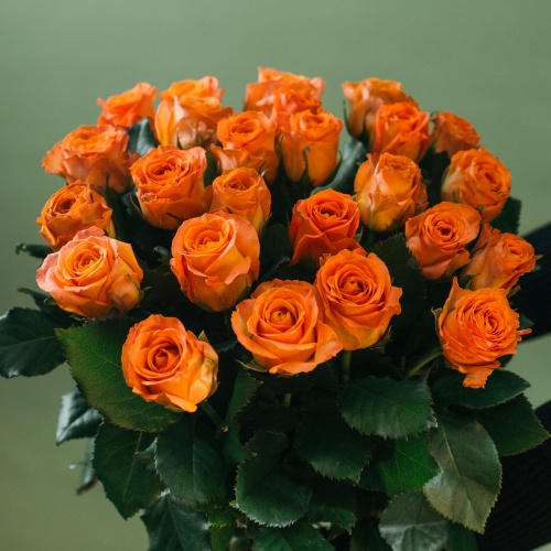 25 оранжевых роз (Россия)