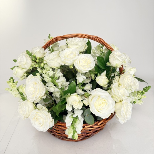 Корзина из антирринумов №795700