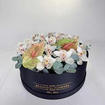 FullSizeRender (254)