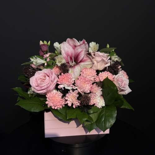 Композиция №969249