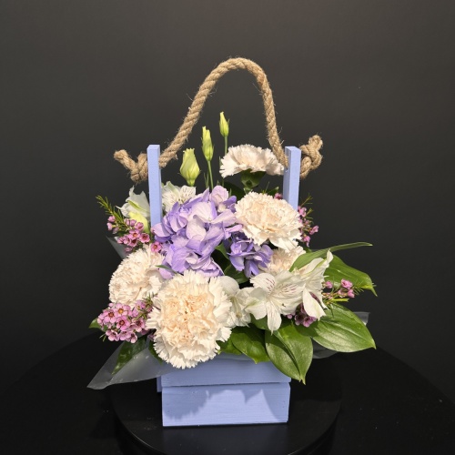 Композиция №737168