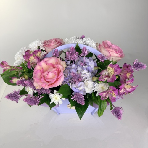 Композиция №979354