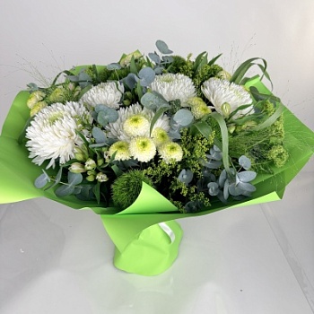 FullSizeRender - 2026-04-15T173442.211