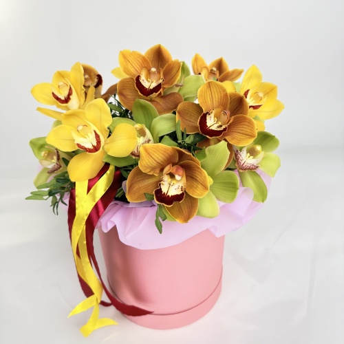 Композиция №778285