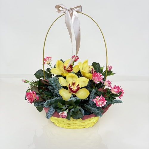 Корзина из кустовых роз №766243