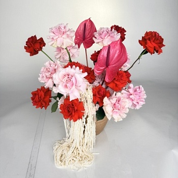 FullSizeRender (290)