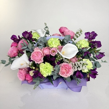 FullSizeRender (231)